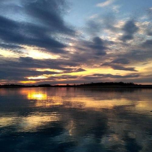 Photo #4577209