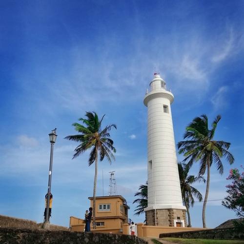 Photo #4577377