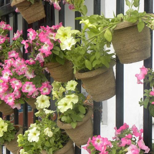 Photo #4577516