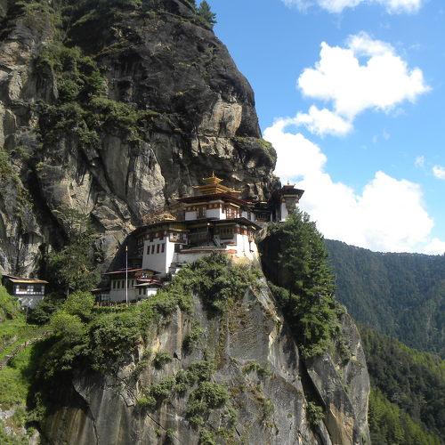 Photo #4577524
