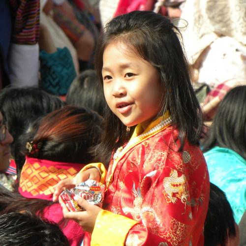 Photo #4577546