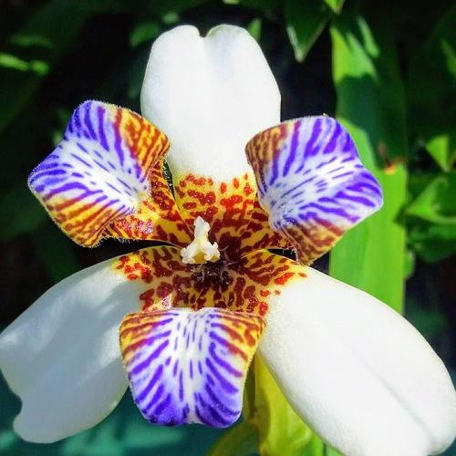 Photo #4577611