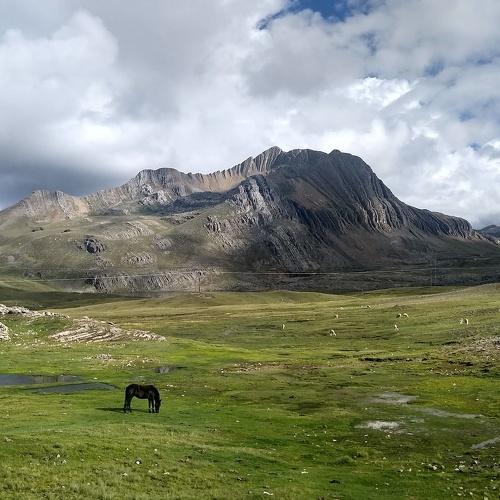 Photo #4577645