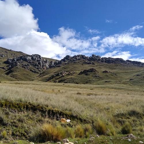 Photo #4577677