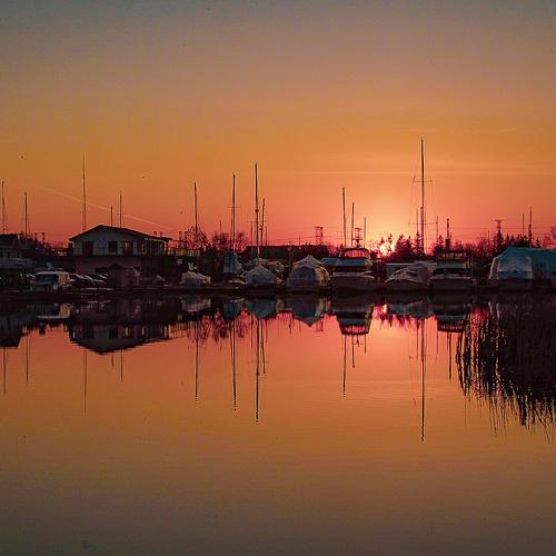 Photo #4577848
