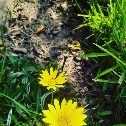 Photo #4577873