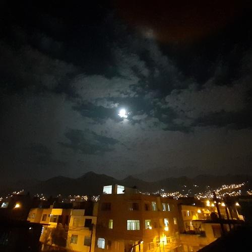 Photo #4577879
