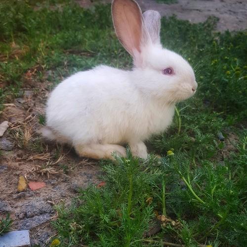 Photo #4577981