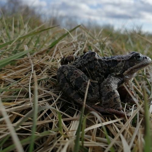 Photo #4578054