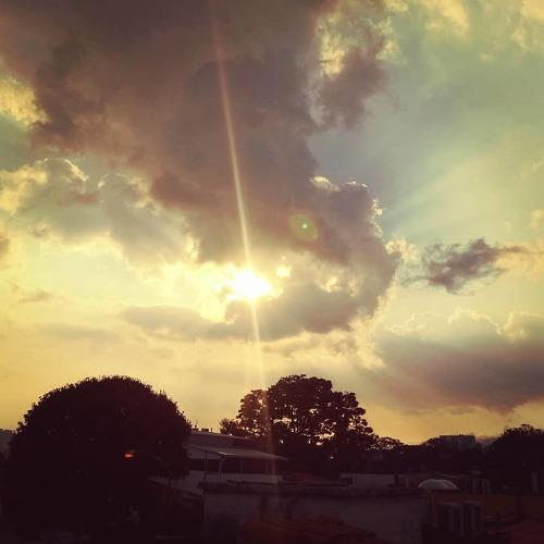 Photo #4578430