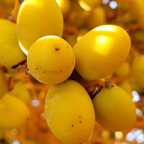 Photo #4578468