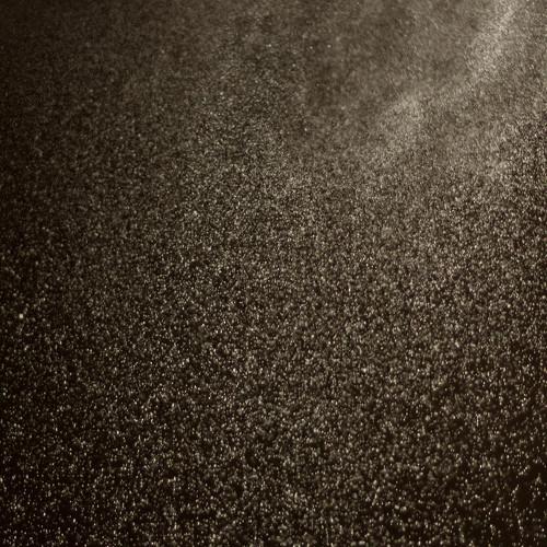 Photo #4579171