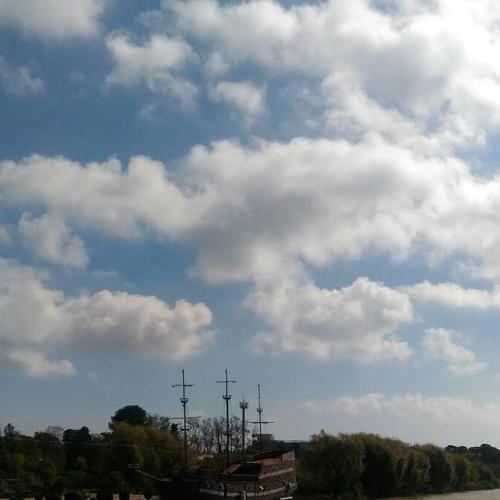 Photo #4579487
