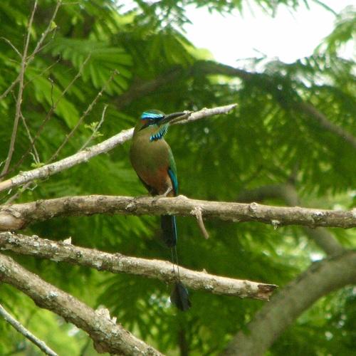 Photo #4580146