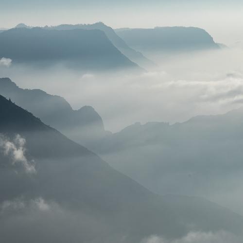 Photo #4580179