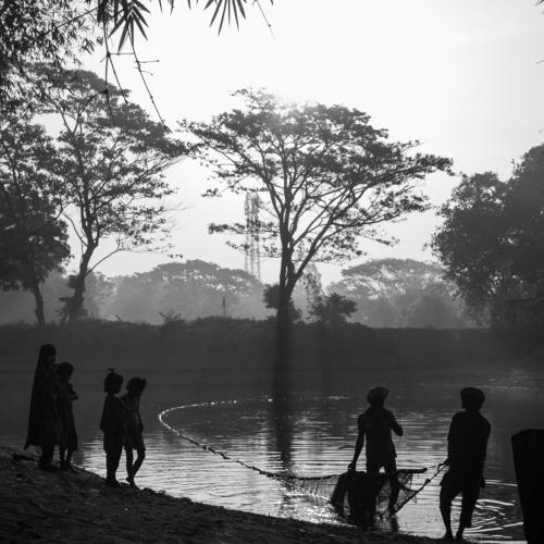 Photo #4580184