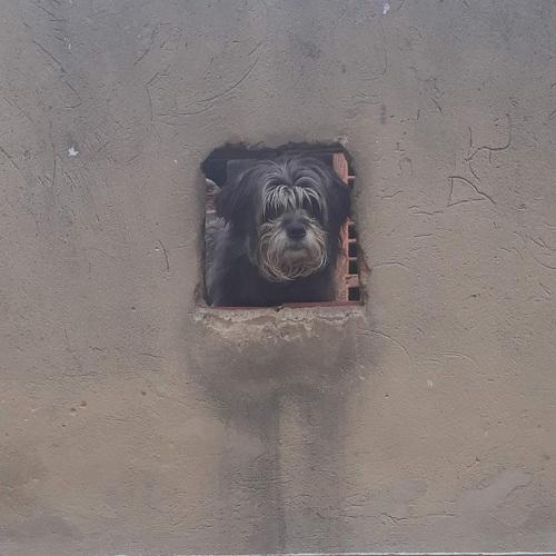Photo #4580820