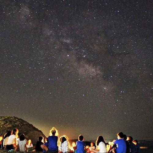 Photo #4580905