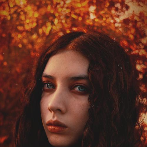 Photo #4581033