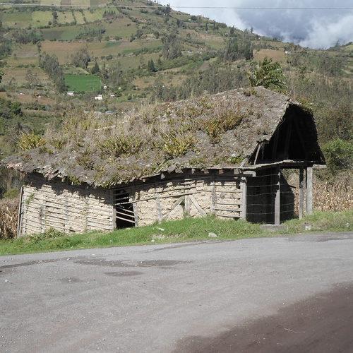 Photo #4581062