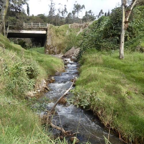 Photo #4581063