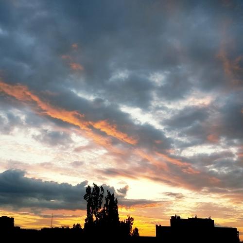 Photo #4581393