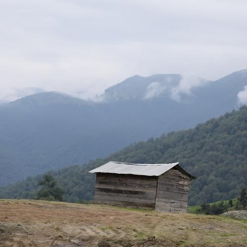 wooden house
