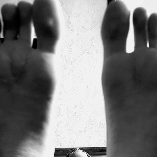 Photo #4581661