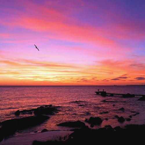 Photo #4582020