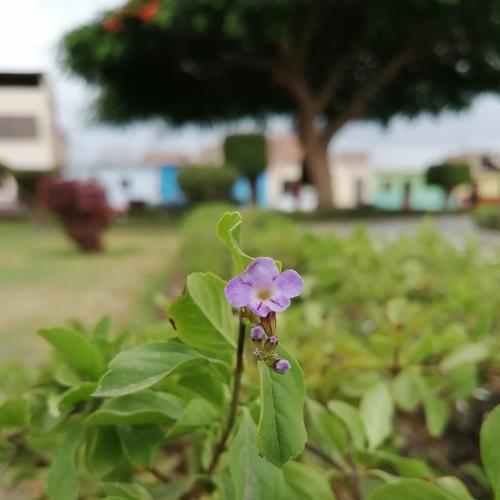 Photo #4582208