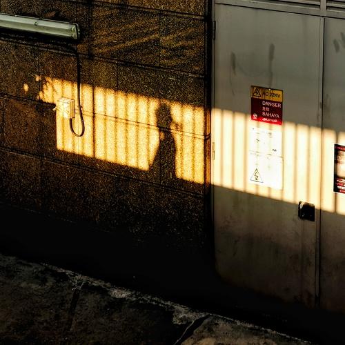 Photo #4582338