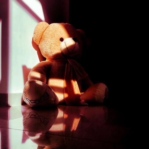 Photo #4582340