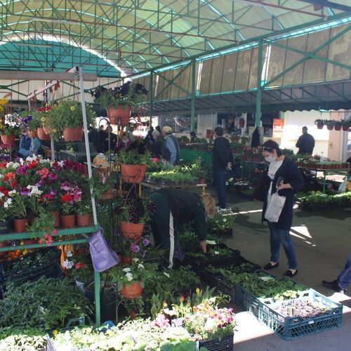 Photo #4582536