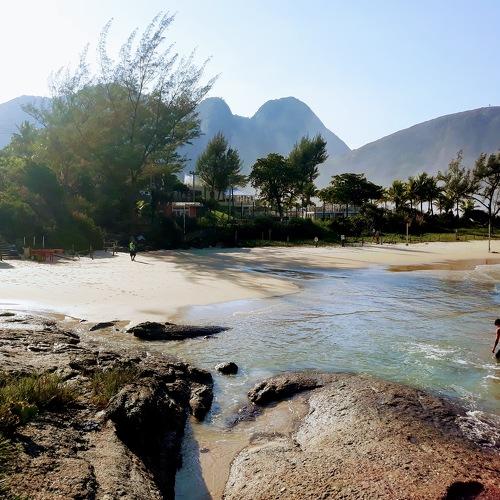 Photo #4582712