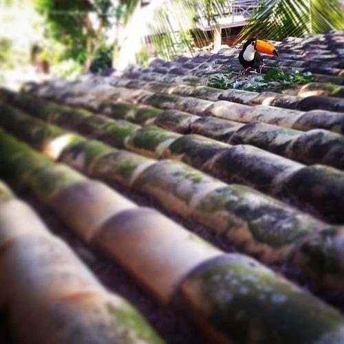 Photo #4582775