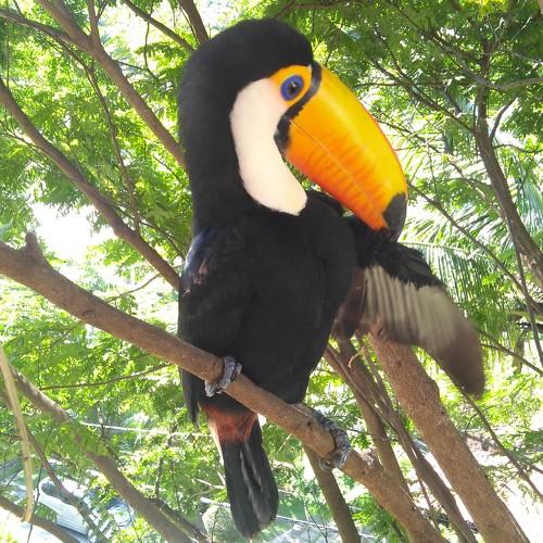 Photo #4582779