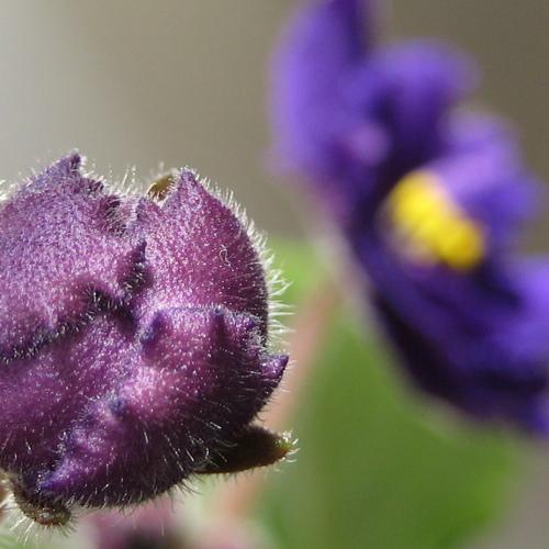 Photo #4583281