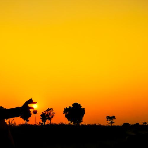 Photo #4583602