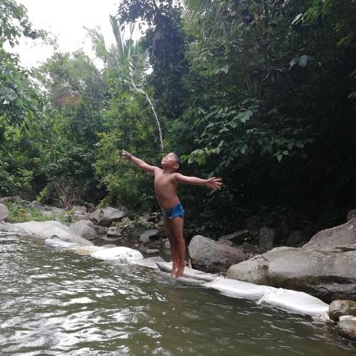 Photo #4583709