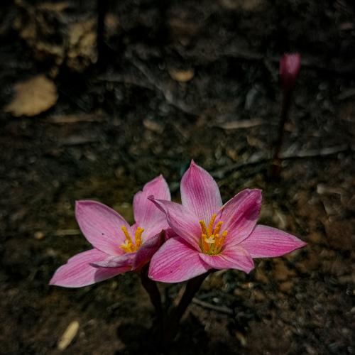Photo #4583956