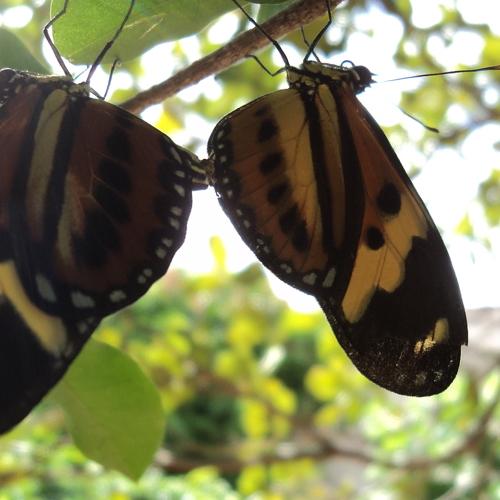 Photo #4583999