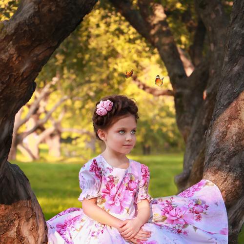Photo #4584152