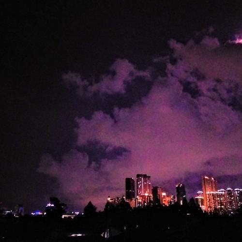 Photo #4584603