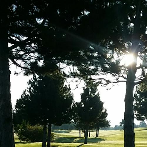 Photo #4584650