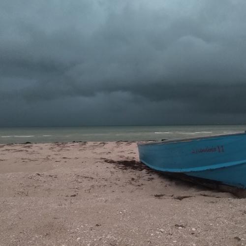 Photo #4584684