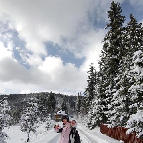 Photo #4584758