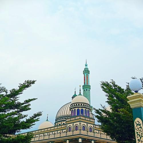 Photo #4585011
