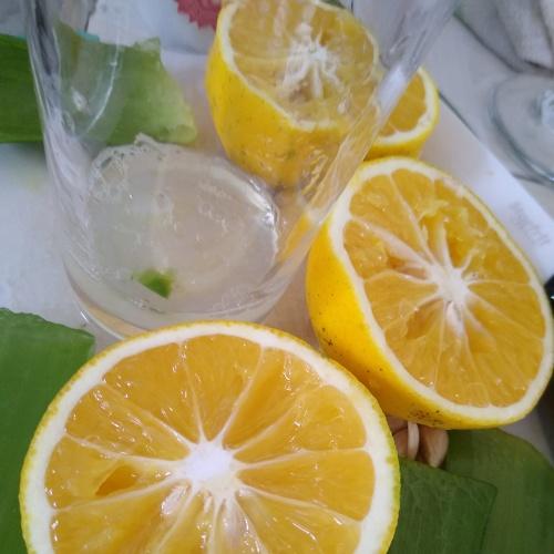 Immune Boost