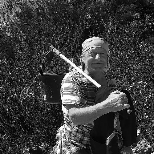 Photo #4585186