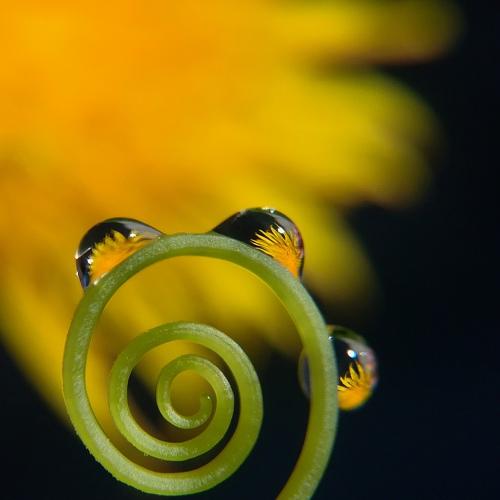 Photo #4585194